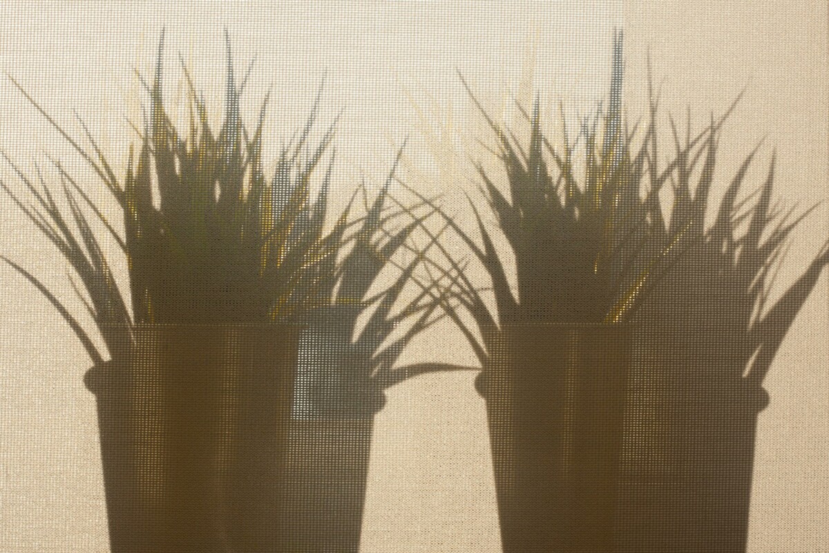 a silhouette of a person