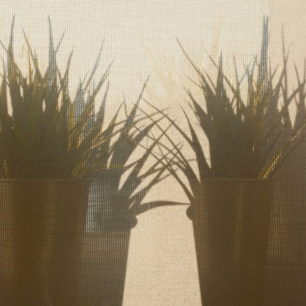 a silhouette of a person